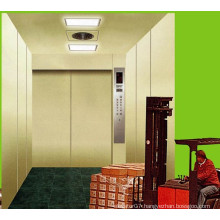 Fjzy-High Quality and Safety Freight Elevator Fjh-16020